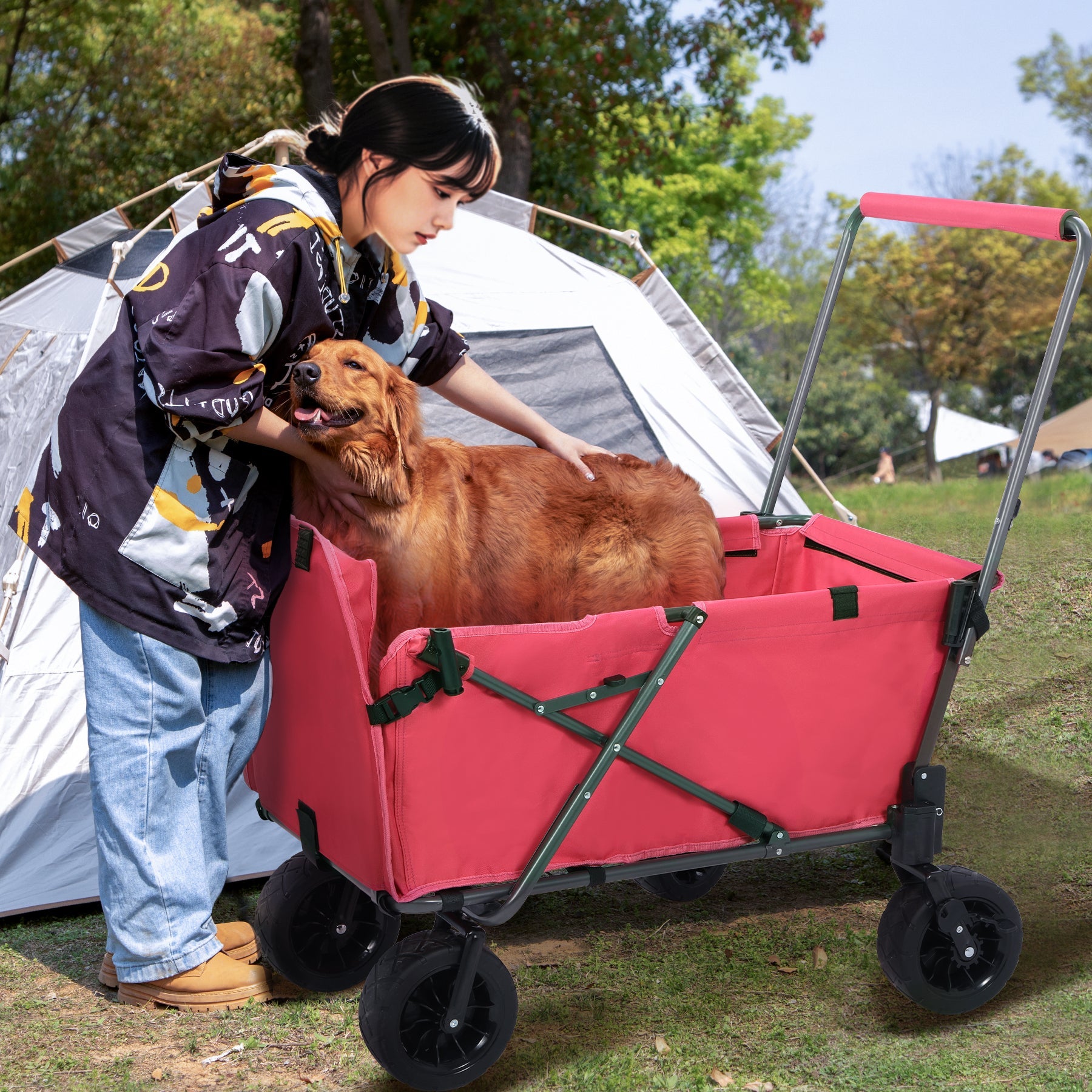 Dog Wagon for Large Dogs
