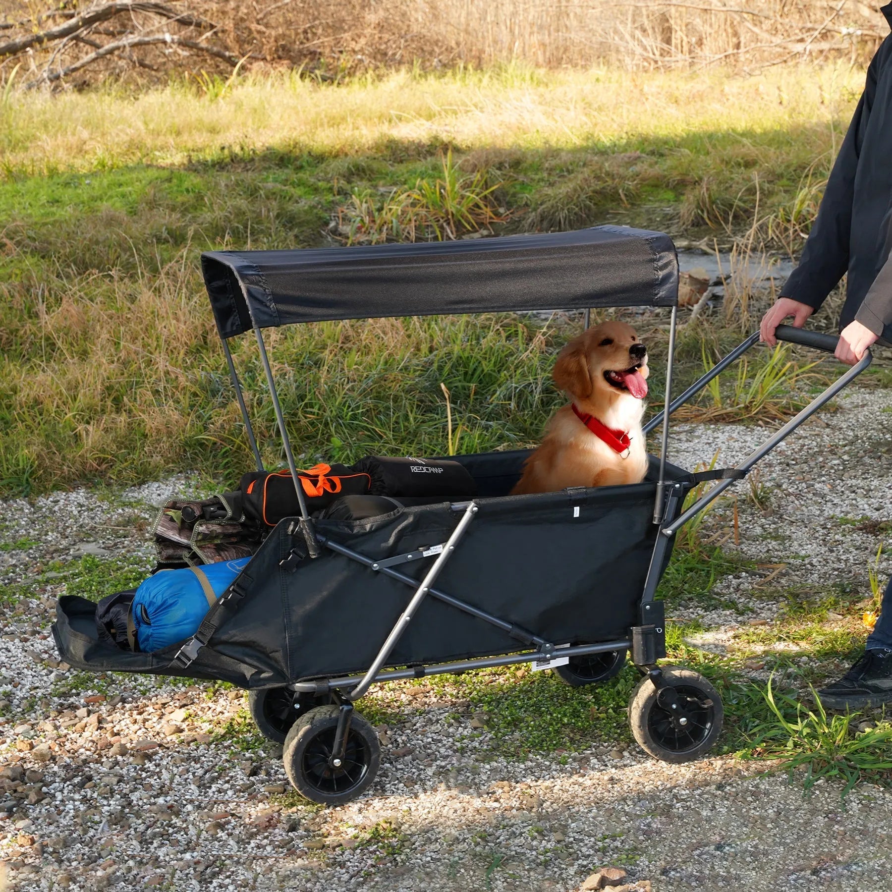 Dog Wagon for Large Dogs