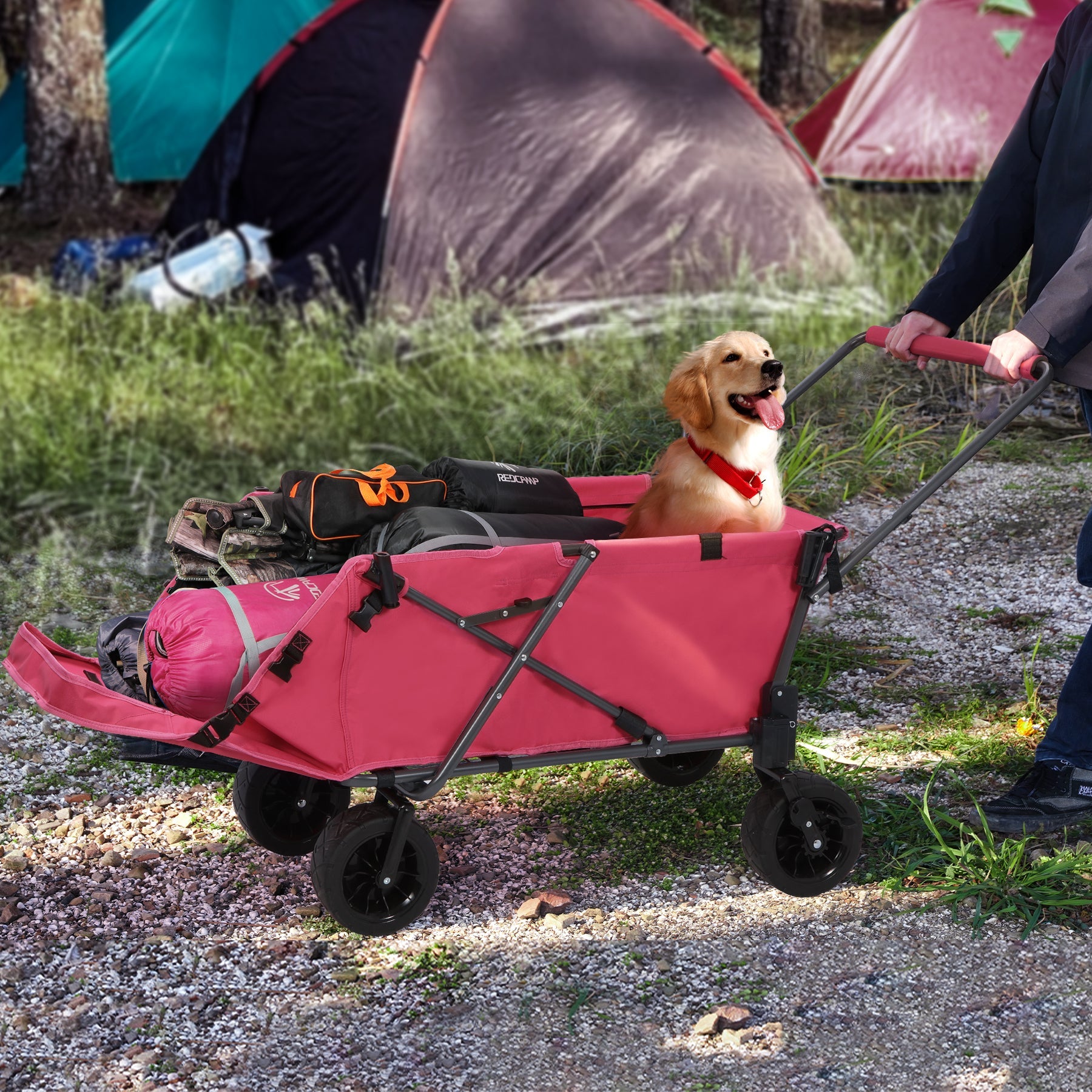 Dog Wagon for Large Dogs