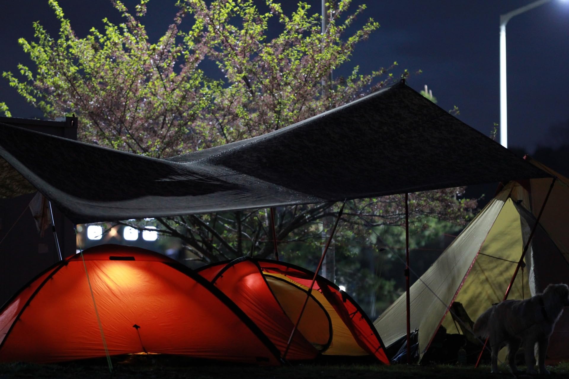 Hammock Rain Fly Camping Tarp